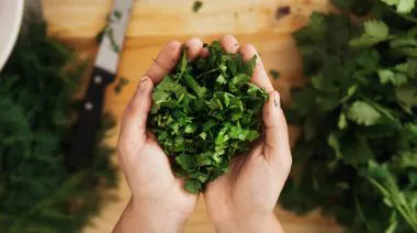 garnishing-instructions-image